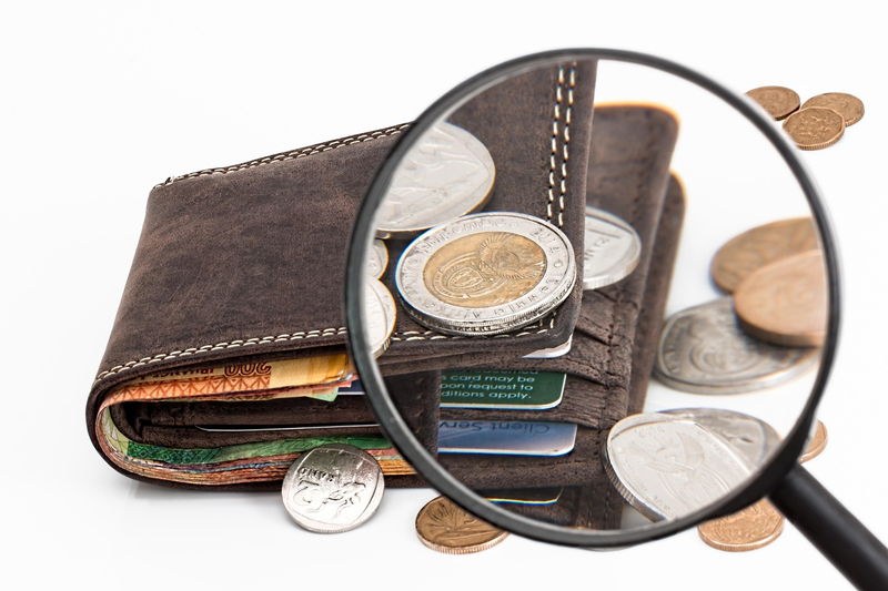 cash coins wallet