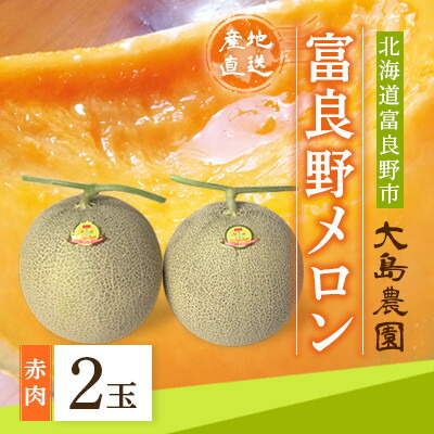 ふるさと納税 北海道富良野市 富良野メロン 赤肉大玉 2玉